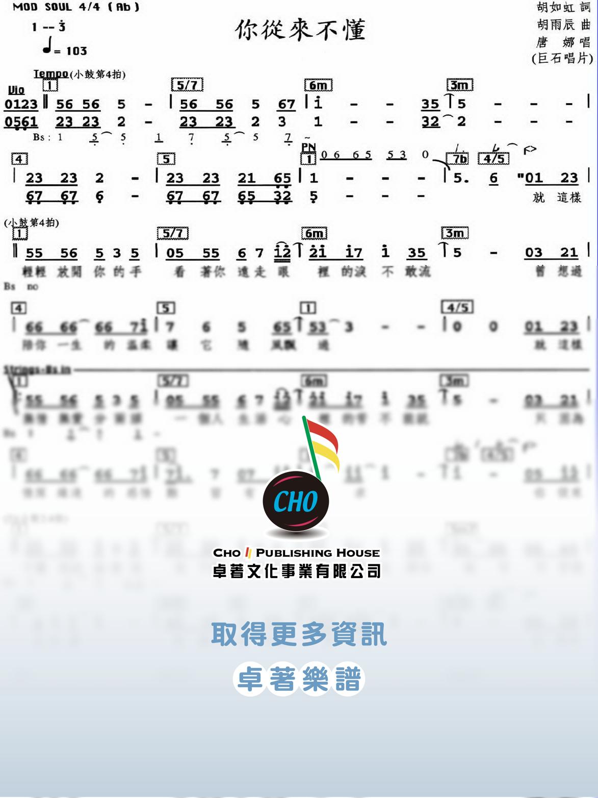 你從來不懂